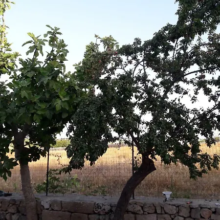 Casa Campoli 루파노